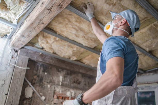 Best Cellulose Insulation in Peoria, AZ